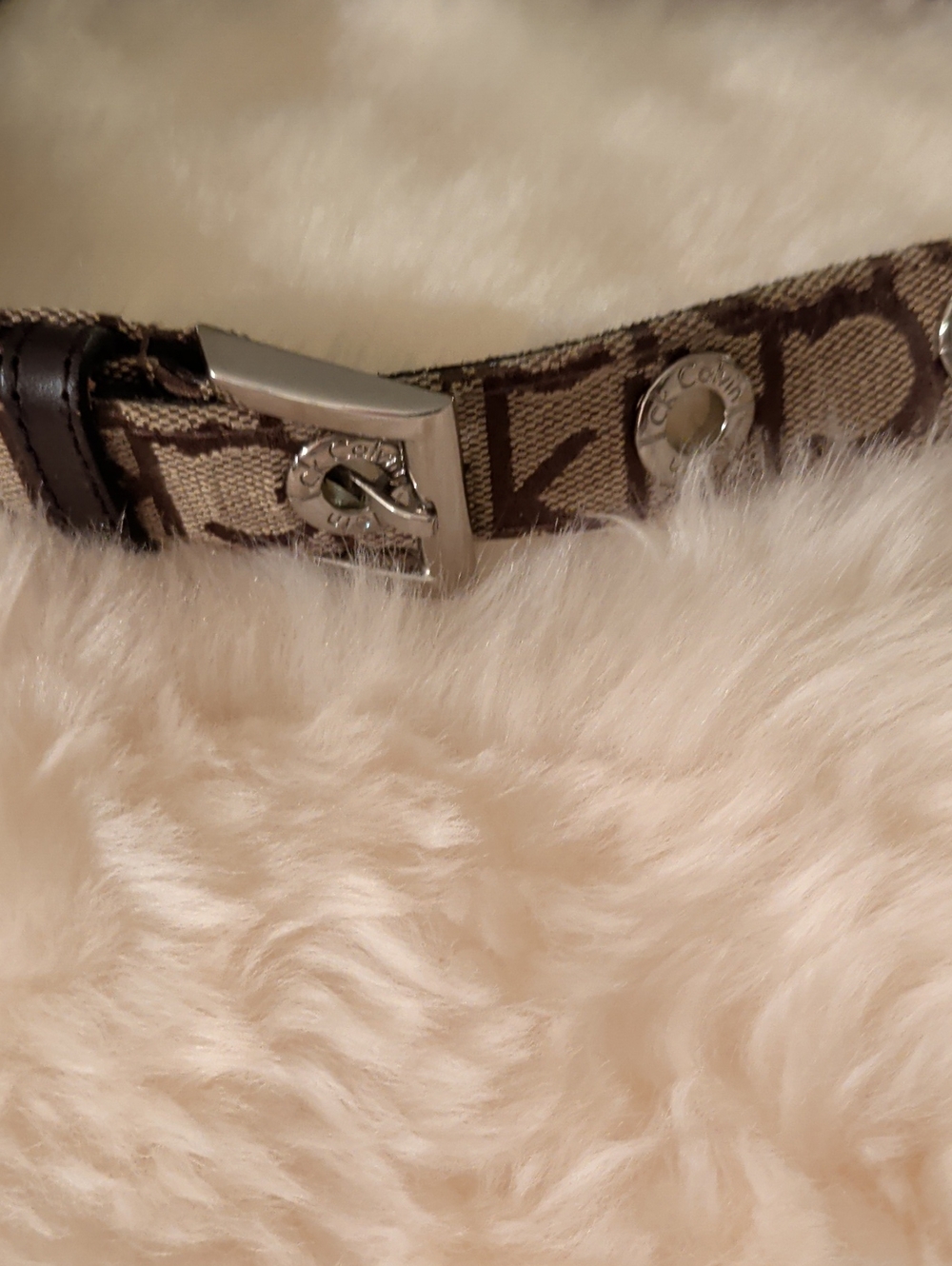 Calvin Klein Signature Canvas Belt in Brown with Silver Hardware